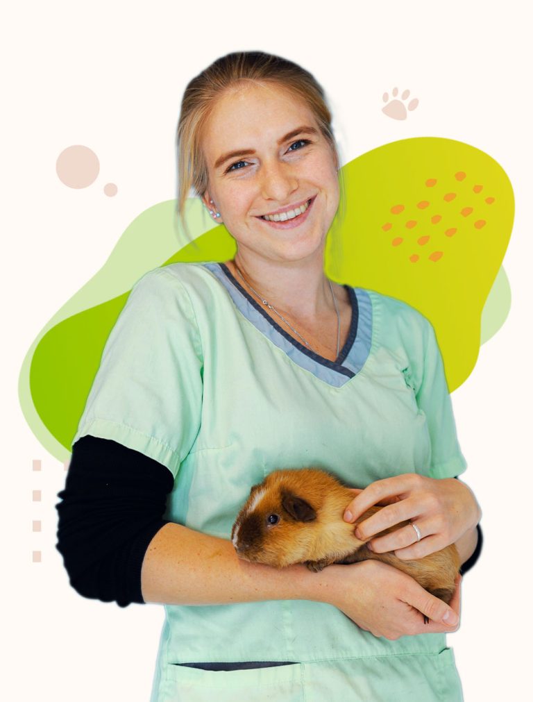 Vétérinaire NAC Rongeurs VTnac Hingeon